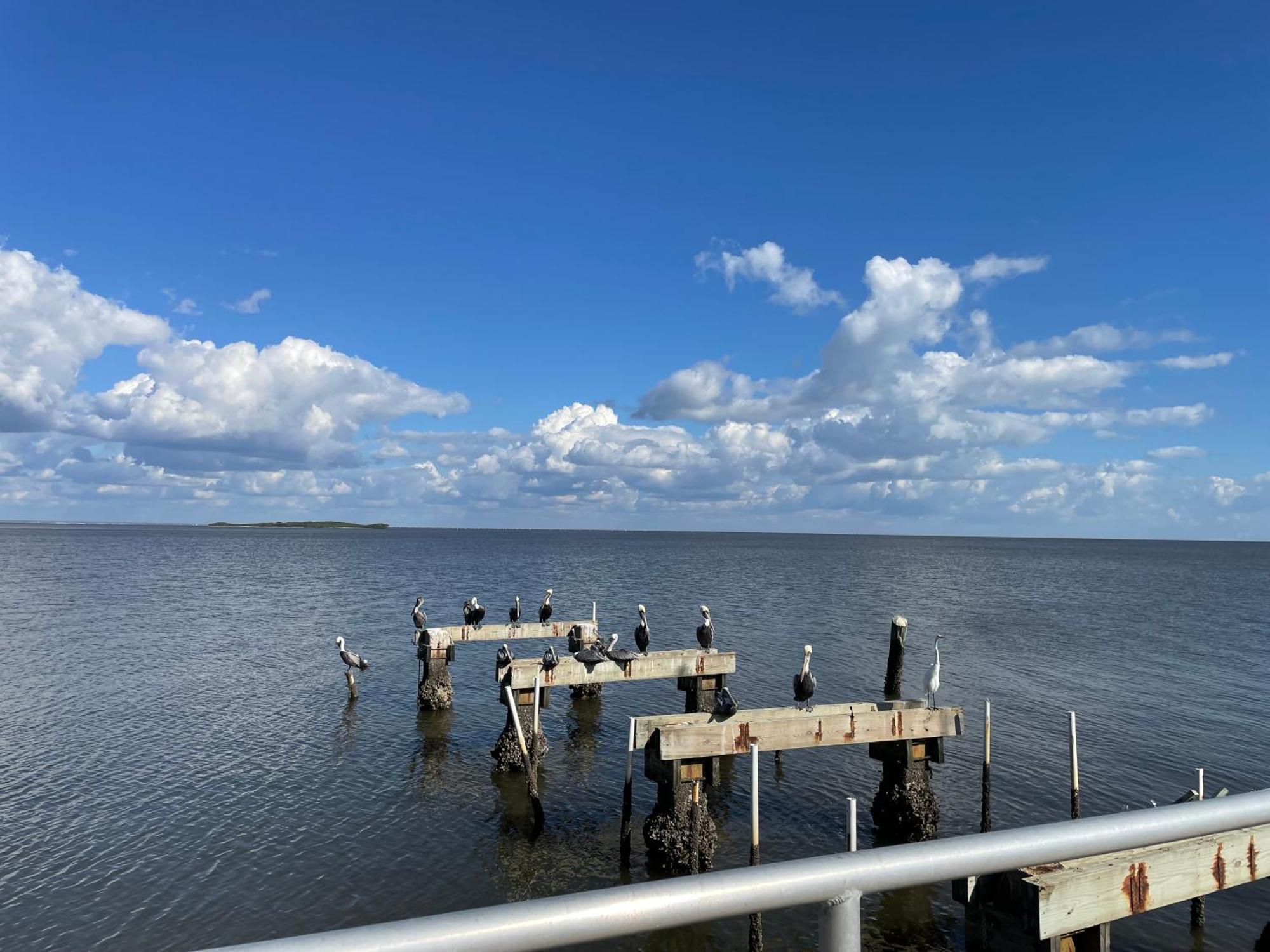 Florida At Park Place * Cedar Key